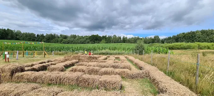 Park tematyczny dla dzieci - Świat Labiryntów